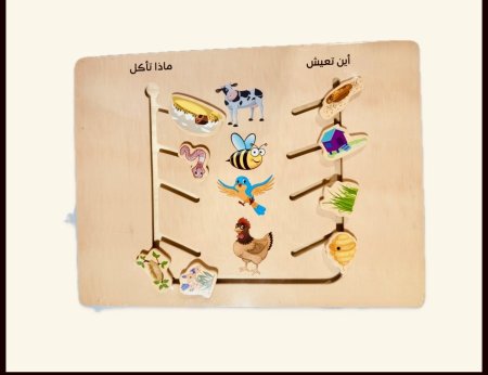 متاهة الحيوانات